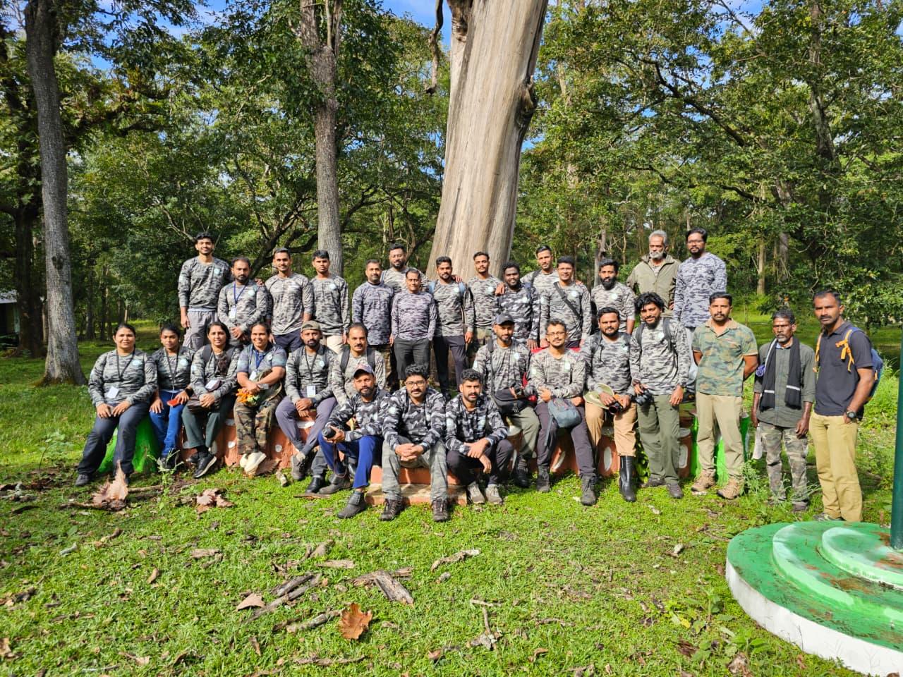 Forest restoration